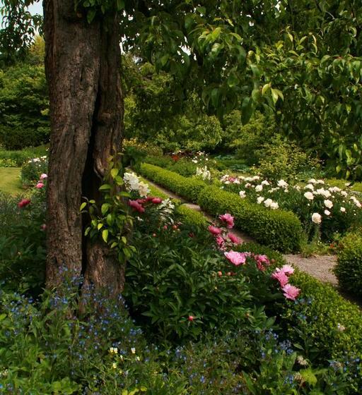 هتل The Ellwanger Estate