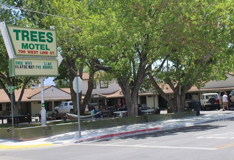 Trees Motel