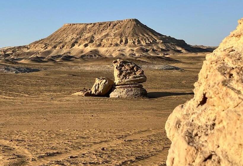 هتل Oasis Panorama