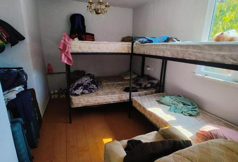 Mini Punjab Hostel