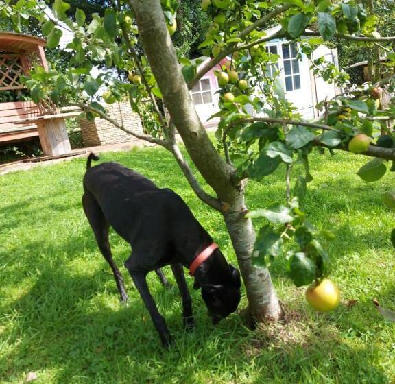 펜션 Hot Tub Hideaway