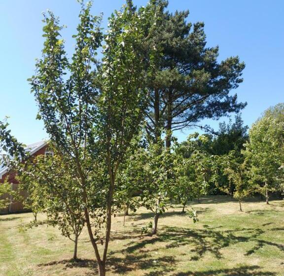 펜션 Hot Tub Hideaway