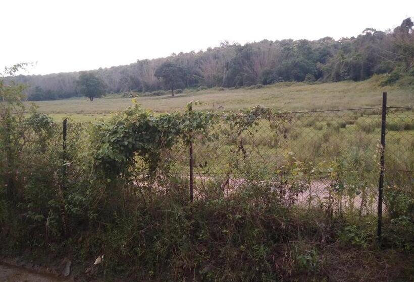 פנסיון Jungleview Mudumalai