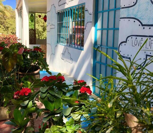 پانسیون Surf N Roll House