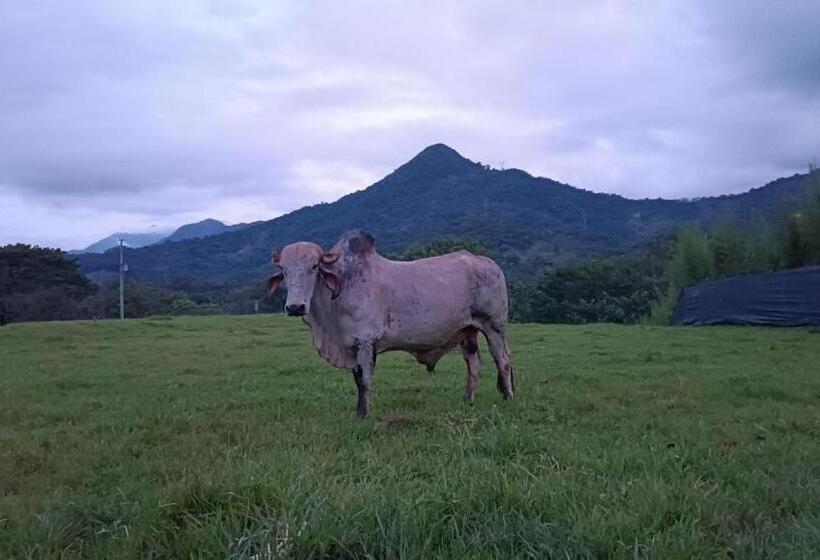 בית מלון כפרי Lemon Ecopark