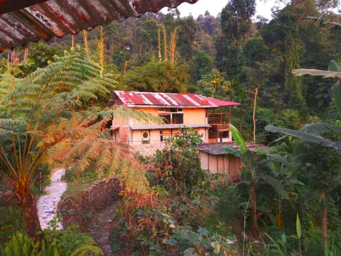 ホテル Petrichor   Regenerative Living Experience