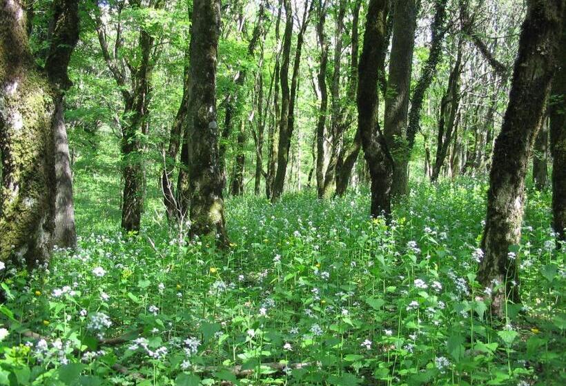 酒店 Podere Le Ghiande, Granaio N°9