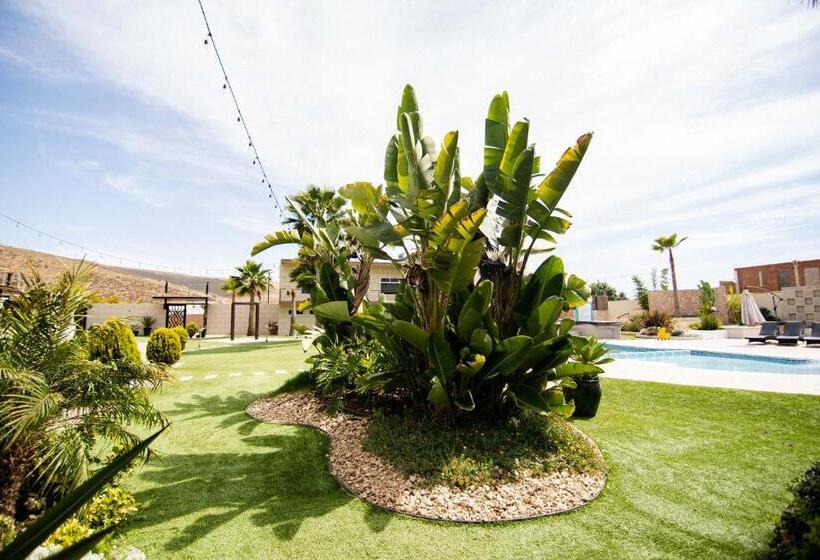هتل Quinta San Carlos Ensenada