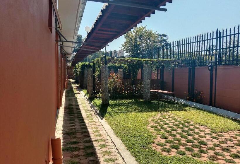 ペンション Evergreen Guest House Westonaria Town