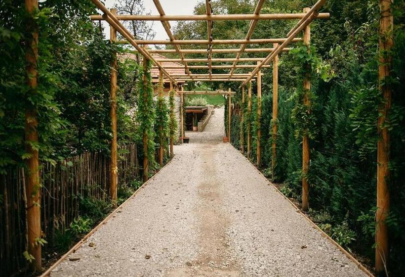 بنسيون Purplevague