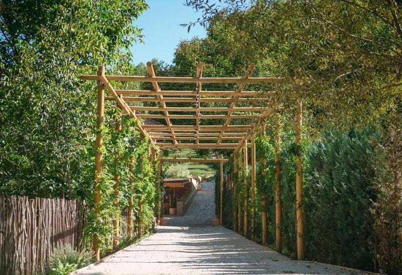 بنسيون Purplevague