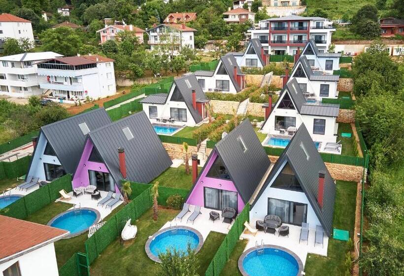 مبيت وإفطار Timeless Kartepe