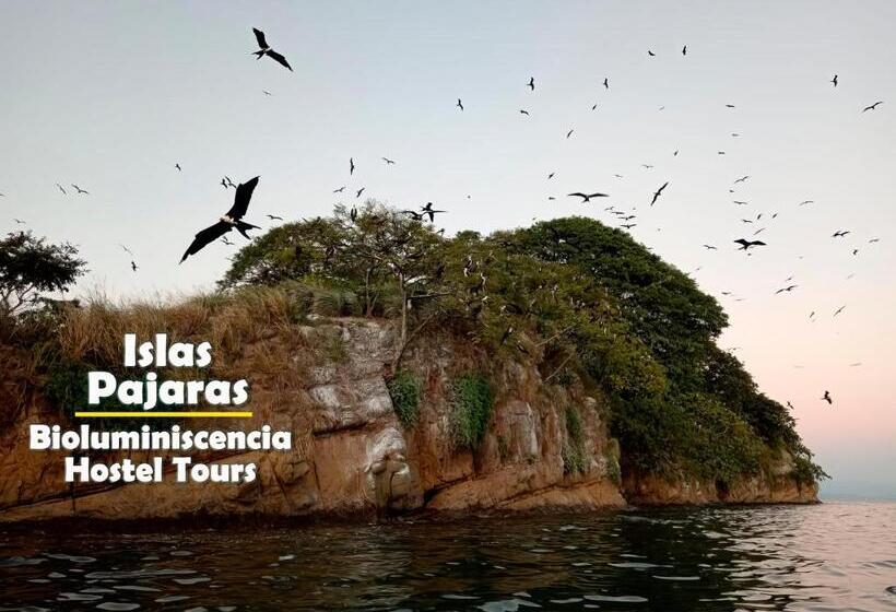 هتل Bioluminiscencia Hostel Tours North