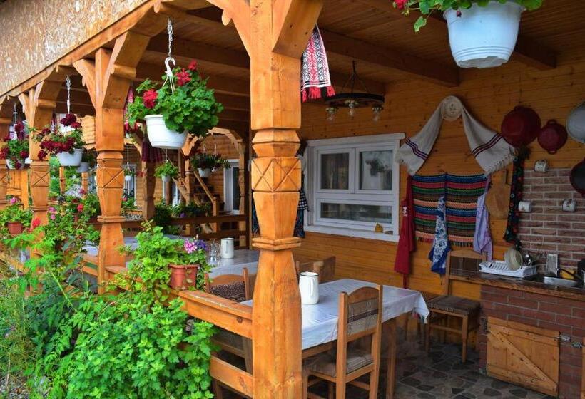 بنسيون Casa Vladicu