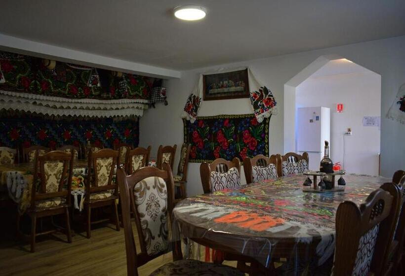 بنسيون Casa Vladicu