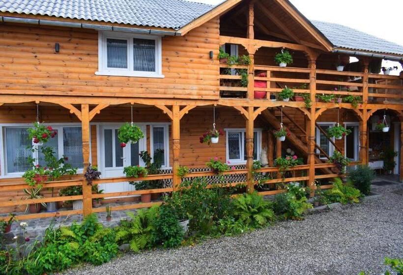 بنسيون Casa Vladicu