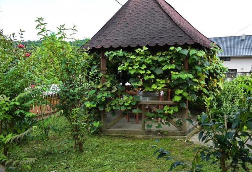 بنسيون Casa Vladicu