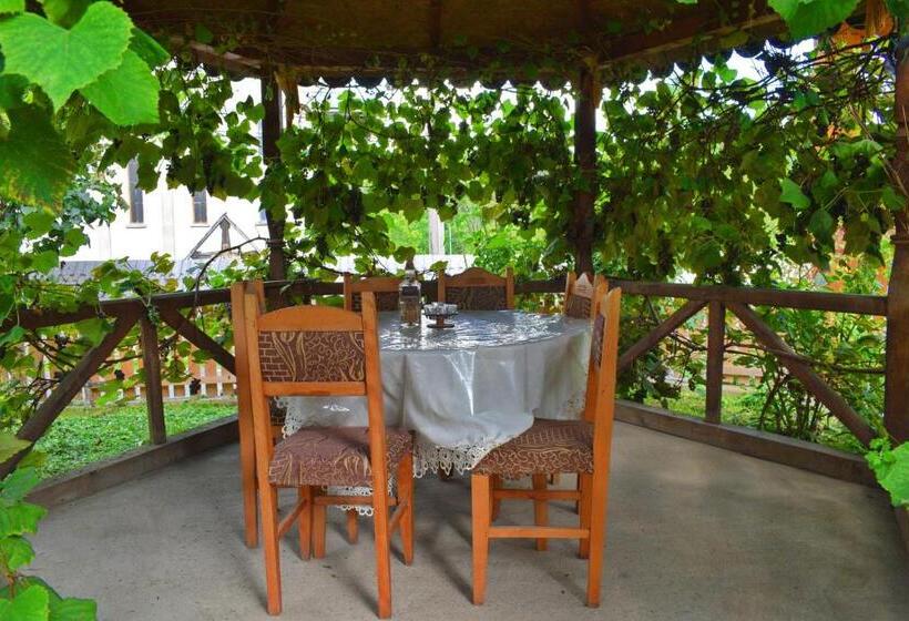 بنسيون Casa Vladicu