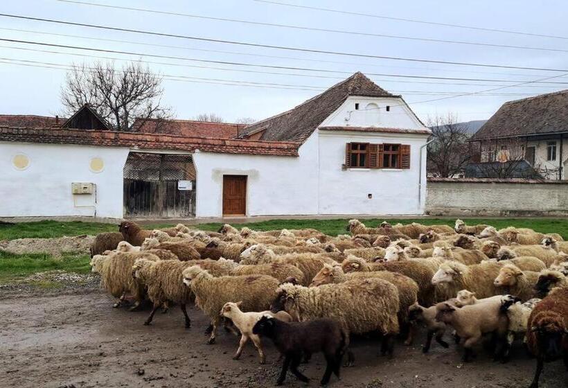 פנסיון Haus Rether   Transylvanian Guesthouse