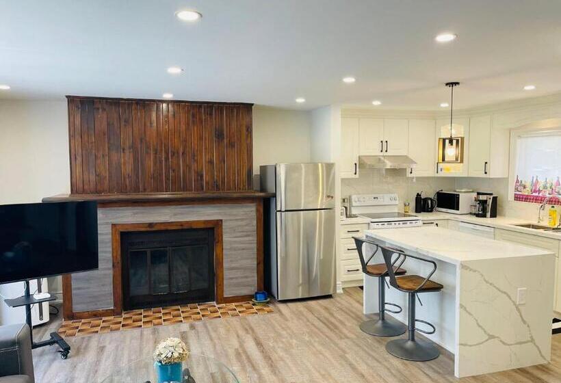 膳宿费 Vihome015c1 2 Bedrooms Near Lake Simcoe