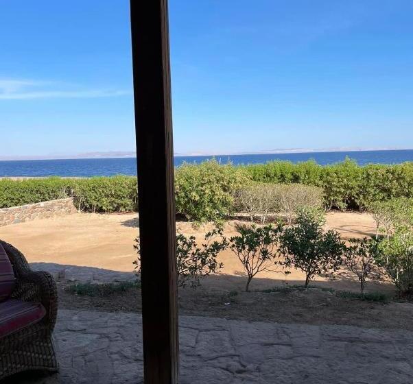 Sea View Apartment