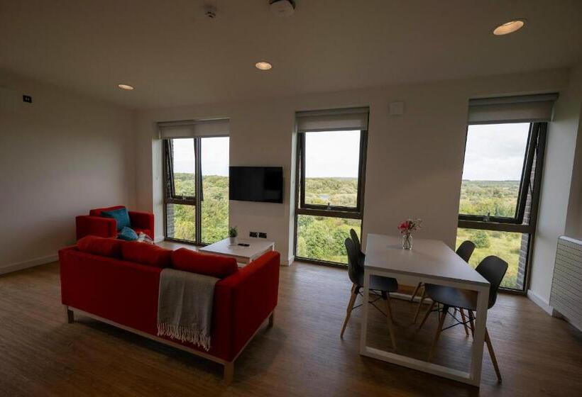 فندق صغير University Of Galway Rooms