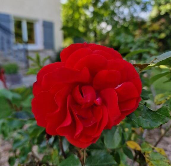 ベッドアンドブレックファースト Chambre D Hôtes ô Rendez Vous