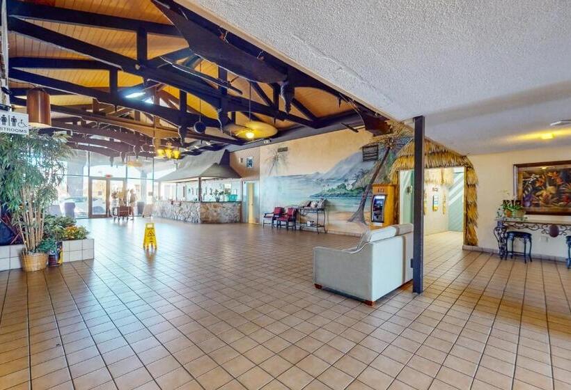 هتل Hawaiian Inn 431