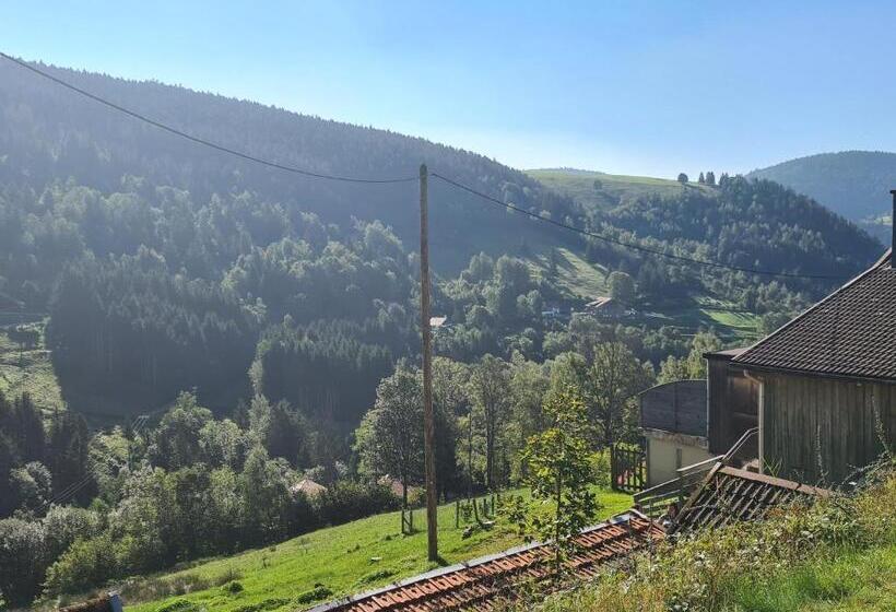 פנסיון Maison Montagnarde Chaleureuse Avec Services, Randonnées Et Vue Imprenable à Ventron   Fr 1 589 567