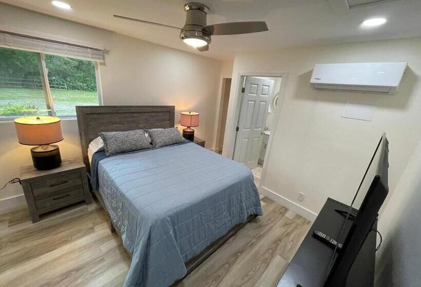 Пансион Efficiency In A Guest House Close To Wellington