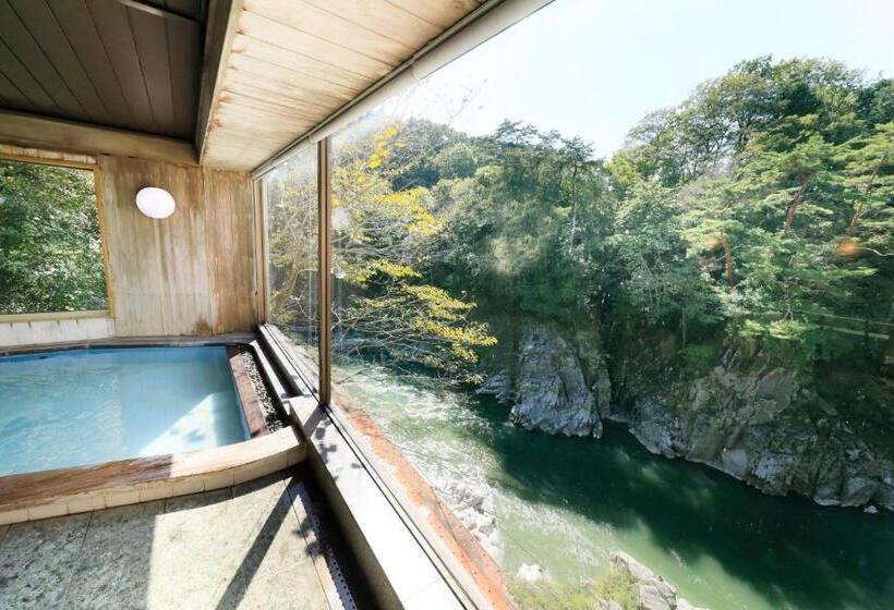 ریوکان 秘境のおやど 龍峡亭　hikyounooyado Ryukyoutei