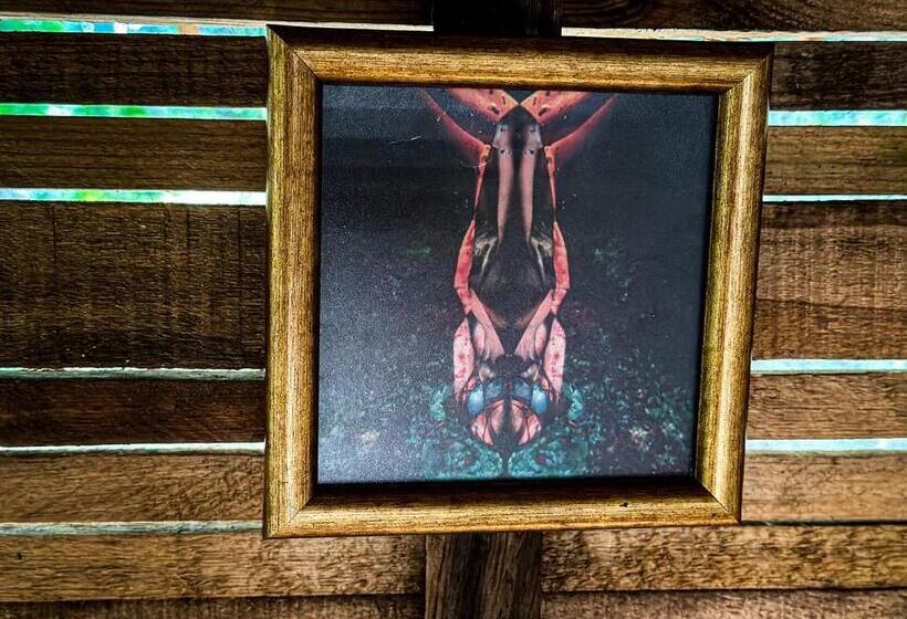 مبيت وإفطار Casa Corazon