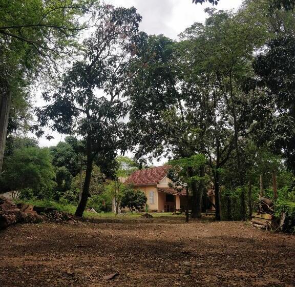 Casarão Hostel
