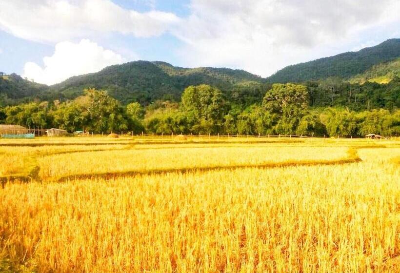 هتل เวียงสว้า Vieng Sava บ่อเกลือ