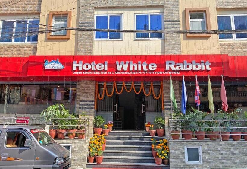 هتل White Rabbit