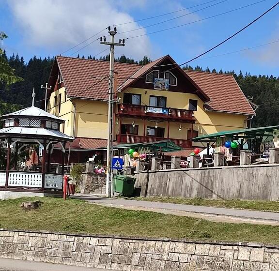 פנסיון Edelweis Floare De Colt