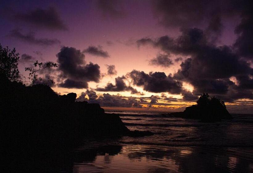 پانسیون Hostal Bahía Solano Herping