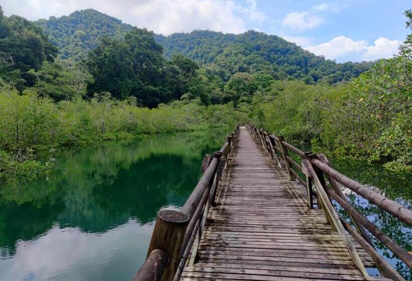 پانسیون Hostal Bahía Solano Herping