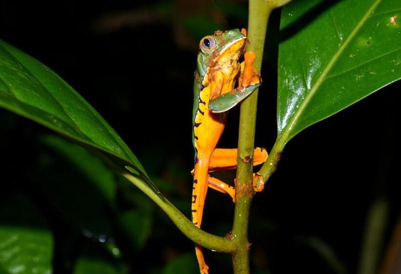 پانسیون Hostal Bahía Solano Herping