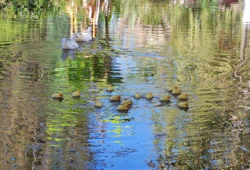 ベッドアンドブレックファースト Hostal Doñihue