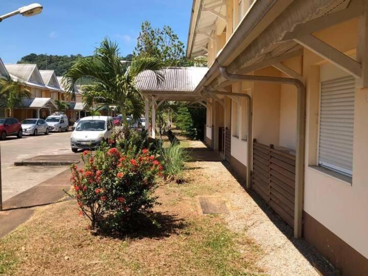 تختخواب و صبحانه Hostel Toucan