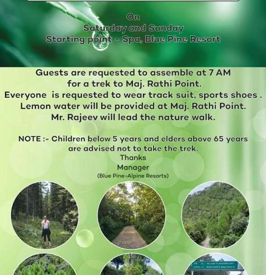 Blue Pine Resort