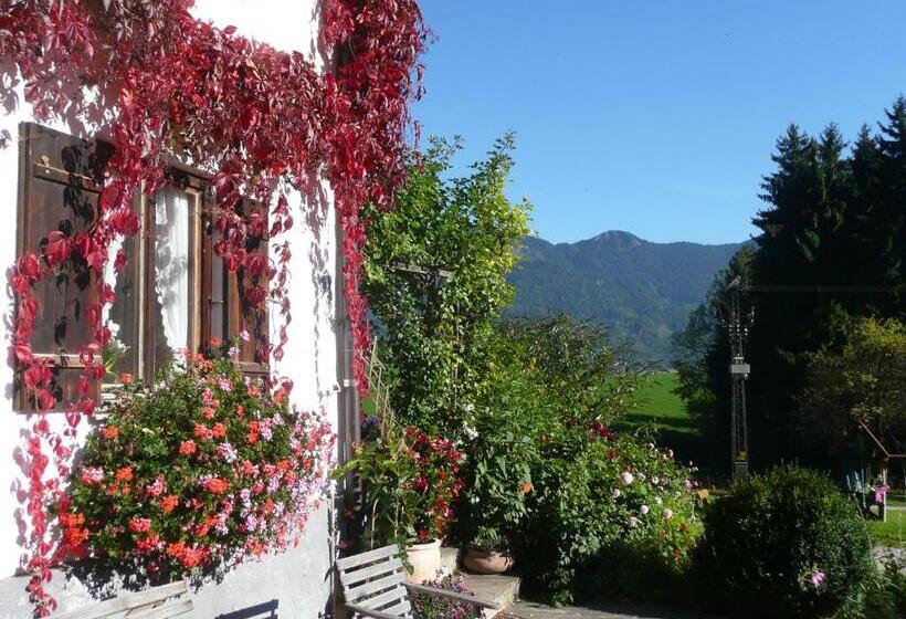 هتل Adlerhof