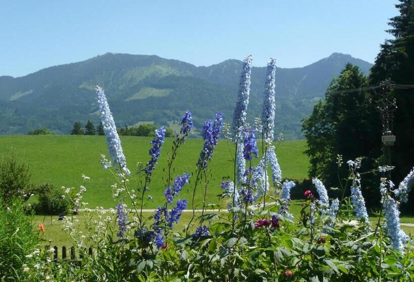 هتل Adlerhof