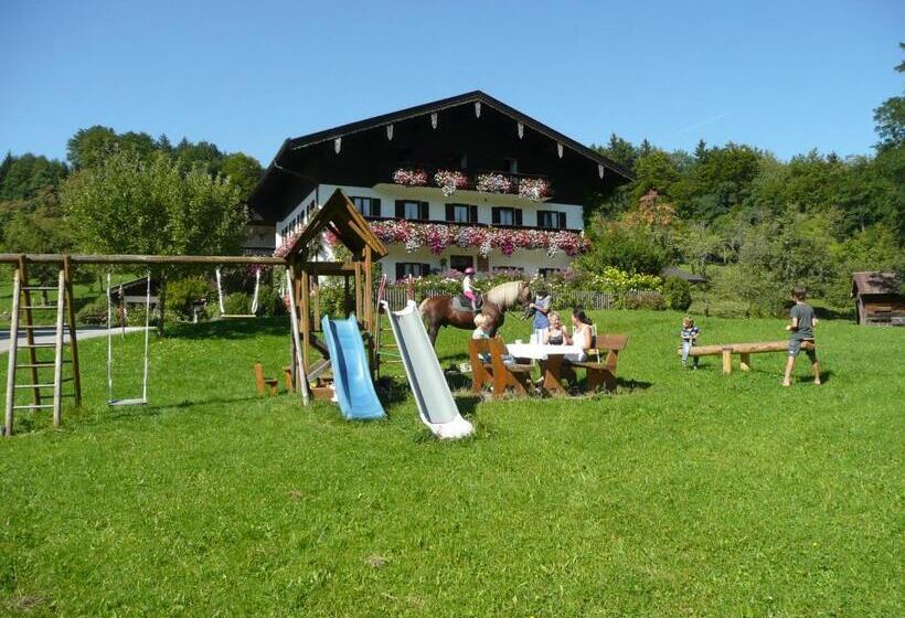 هتل Adlerhof