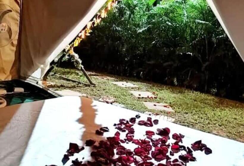 ホテル Hostel Glamping Mistiko Safari   Carmen De Apicala