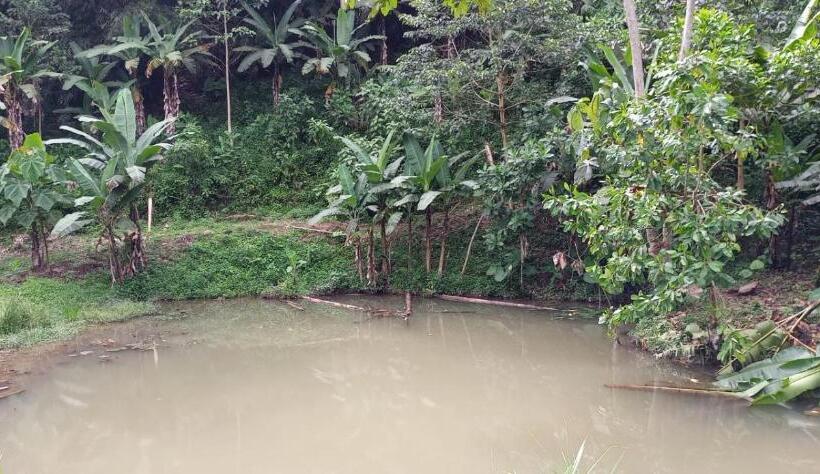 هتل Jardin Botanico Bellavista