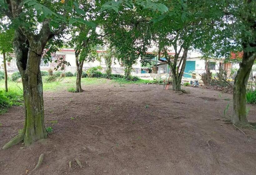 هتل Jardin Botanico Bellavista