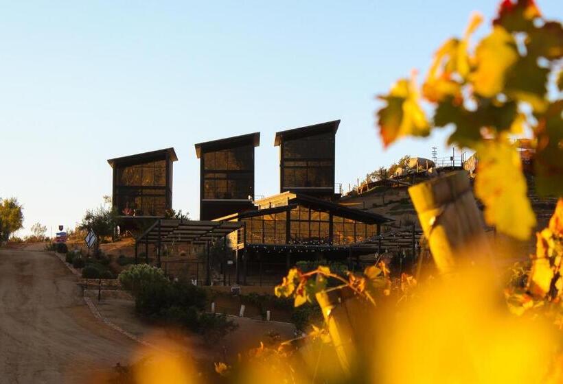 هتل Origen75 Loft Villas Skypool Viñedo, Valle De Guadalupe