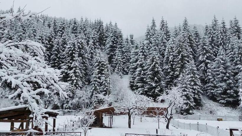 ペンション садиба квітка карпат